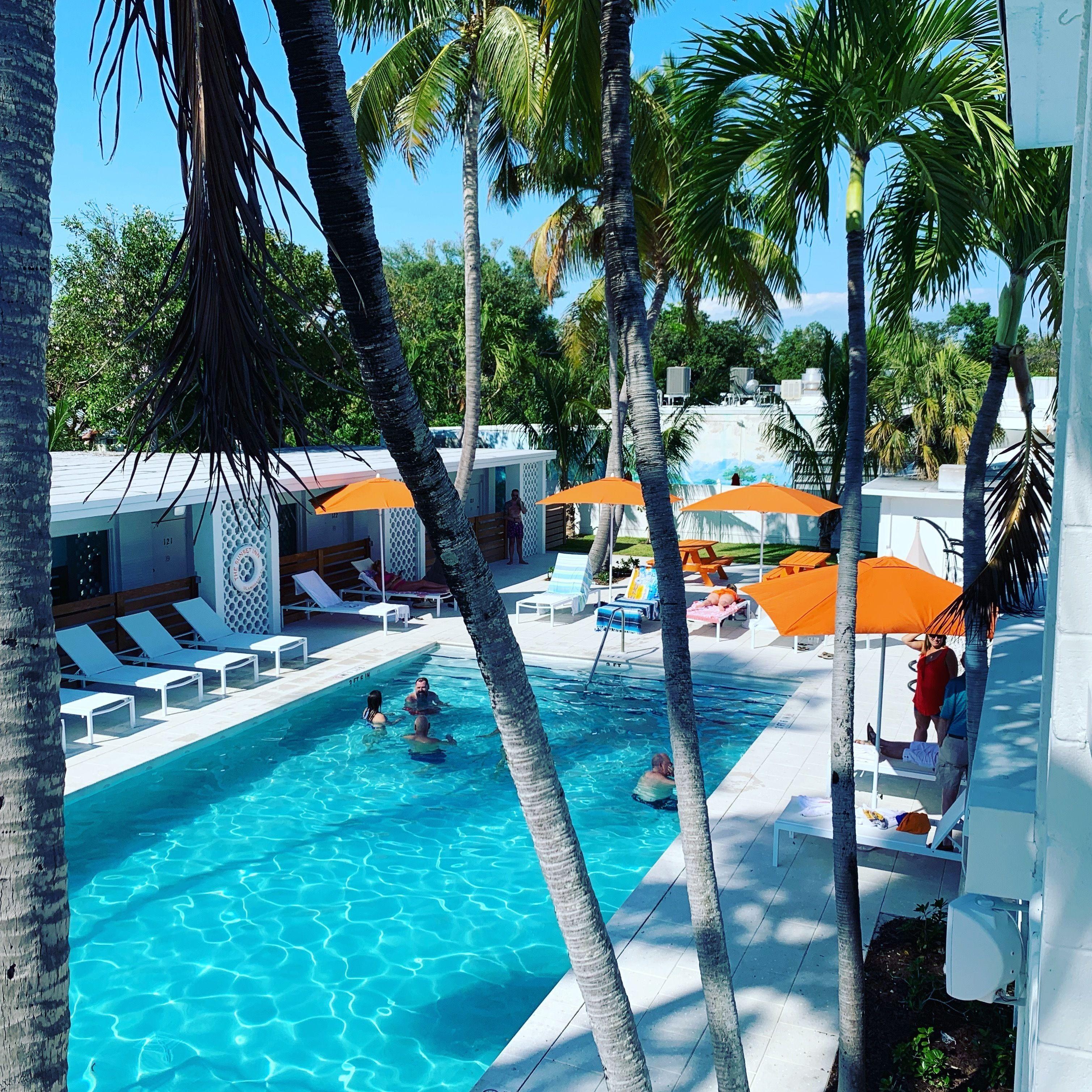 Staying Near Upper Matecumbe Key: 4 Budget Hotels Compared