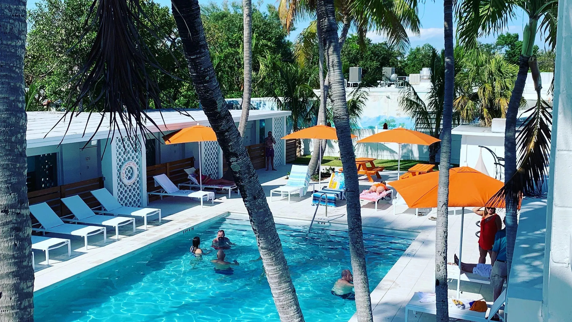 Staying Near Upper Matecumbe Key: 4 Budget Hotels Compared